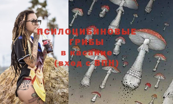 амф Абаза