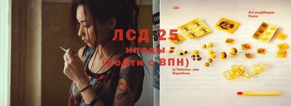 ГАЛЛЮЦИНОГЕННЫЕ ГРИБЫ Алзамай