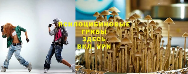 метамфетамин Алексеевка