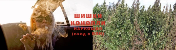 амф Абаза