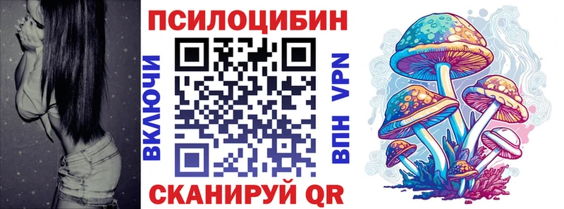 Псилоцибиновые грибы Psilocybe  Тырныауз 