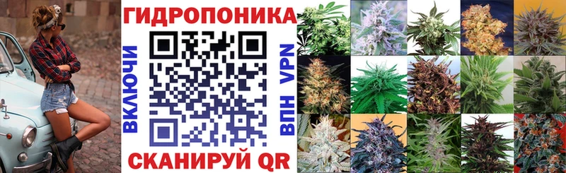 цены наркотик  OMG маркетплейс  МАРИХУАНА SATIVA & INDICA  Тырныауз 